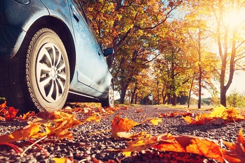 It’s Time for Fall Car Care Services in Kenner, LA with CAMS Automotive; closeup image of rear tire of blue sedan car driving in fall day with leaves on road